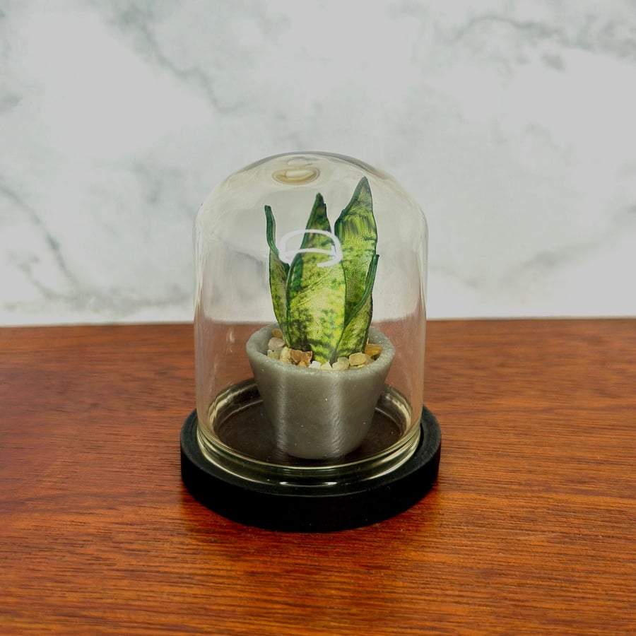 Handmade Miniature Snake Plant in a bell jar, 1:12 Dollhouse plant 
