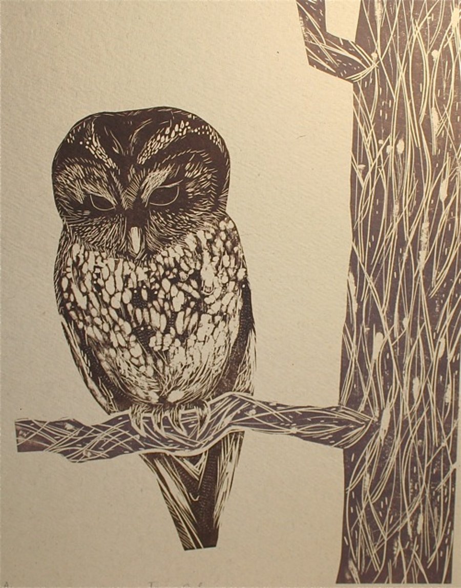 Tawny Owl - buff