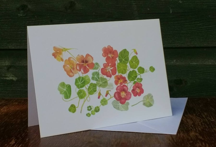 Nasturtium greetings card.