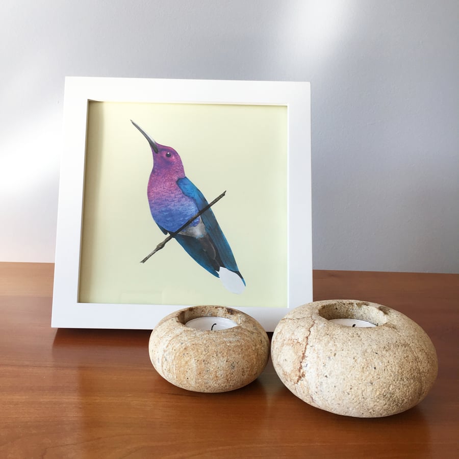 Hummingbird print