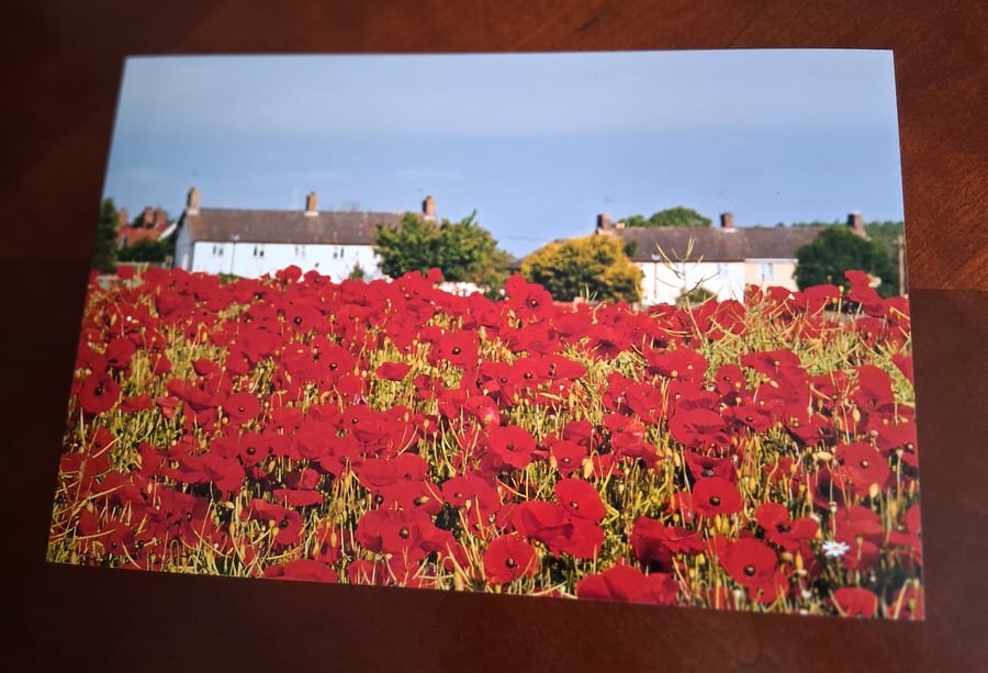 POPPY FIELD WITH BUILDINGS