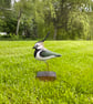 Lapwing (Peesie) - Image 10