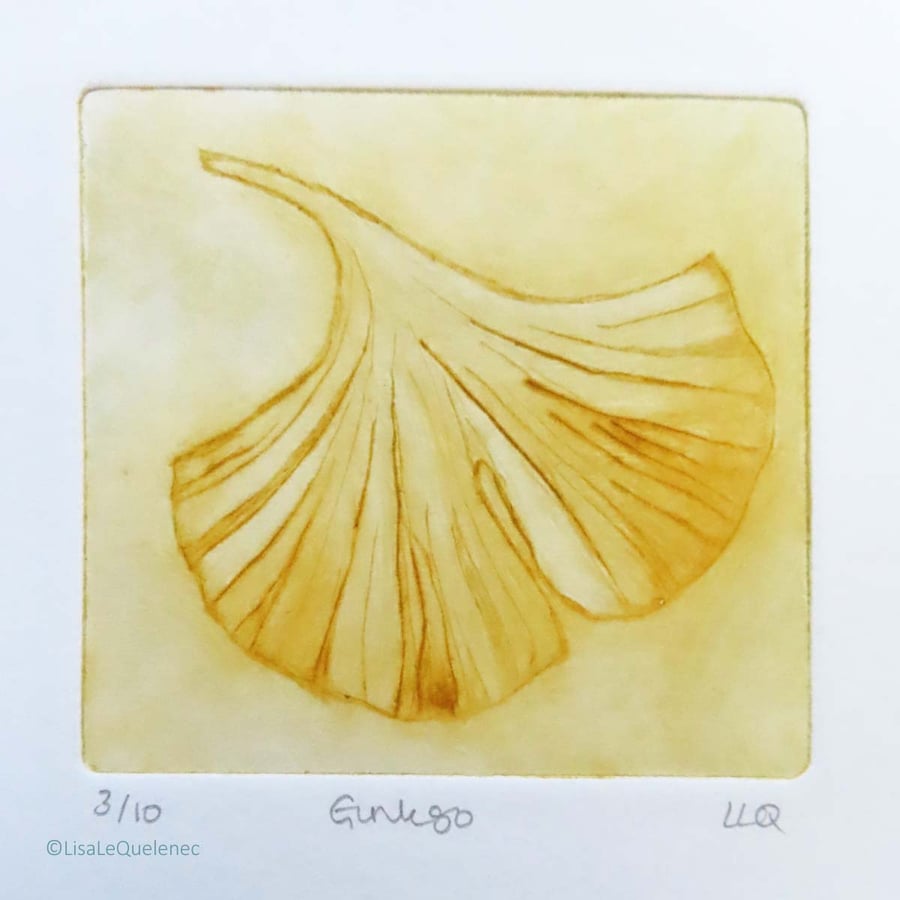 Gingko drypoint no.3 of 10 signs of spring small scale print