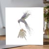 Iridescent Hummingbird