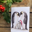 Christmas cards 