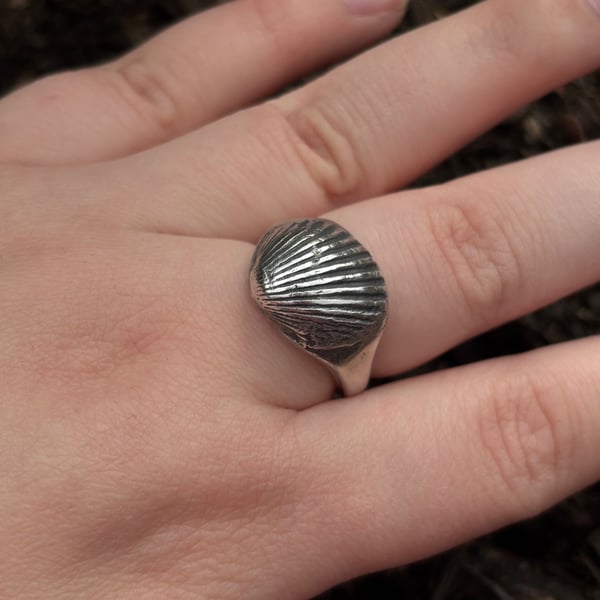 Seashell signet ring
