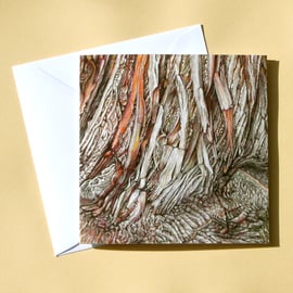 Greetings Card - Blank - Sweet Chestnut Tree Bark