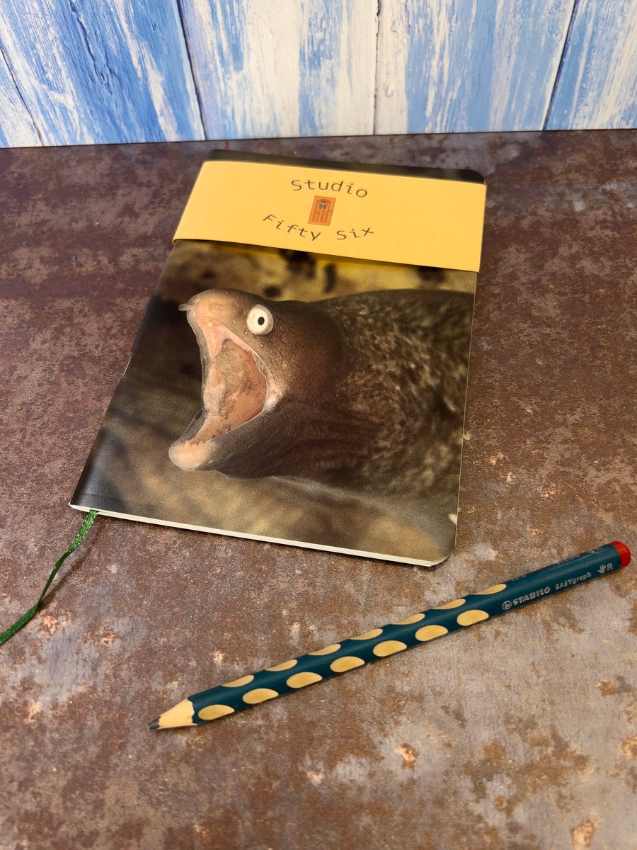 Notebook, Marine themed, A5 (ish), made from up-cycled and recycled materials.