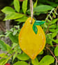 Fruit hanging decorations, Strawberry Decoration, Lemon decoration, Summer decor - Image 7