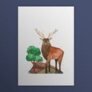 Red Deer aka The Fancy Antlers, Scotland's Big 5, A4 art print