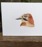 Eurasian Jay Acrylic Portrait Painting - Image 1