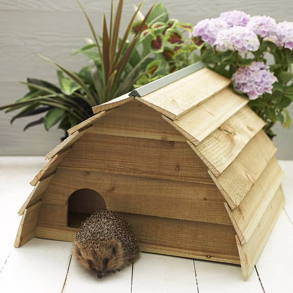 Deluxe Hedgehog house.