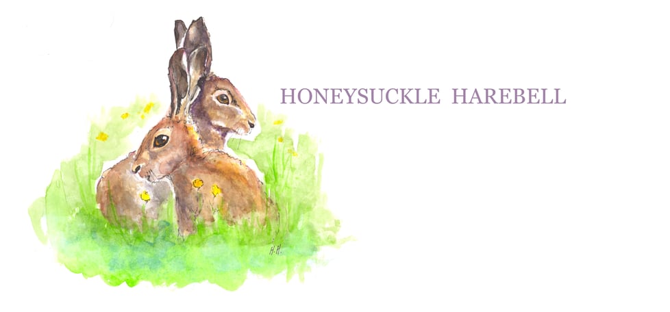 Honeysuckle Harebell