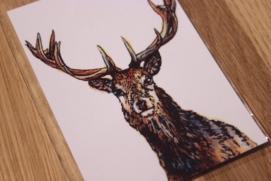 Stag ACEO Print - Mini Wildlife Art Print, Free UK Post