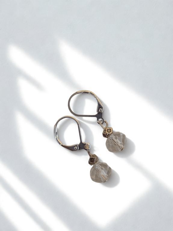 Single Crystal Drop Earrings 