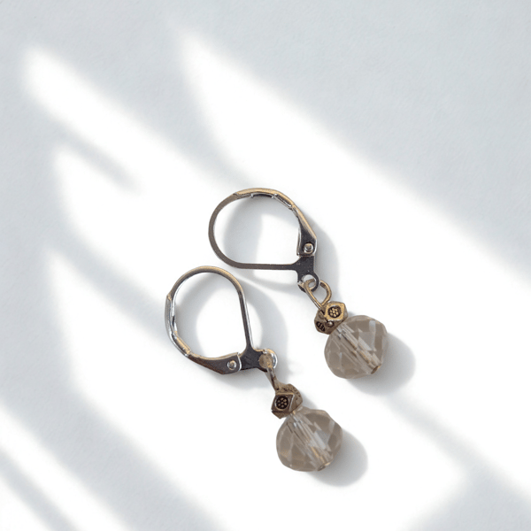 Single Crystal Drop Earrings 