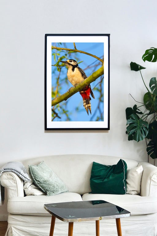 Great Spotted Woodpecker print