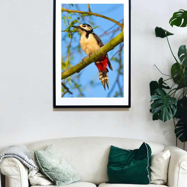 Great Spotted Woodpecker print