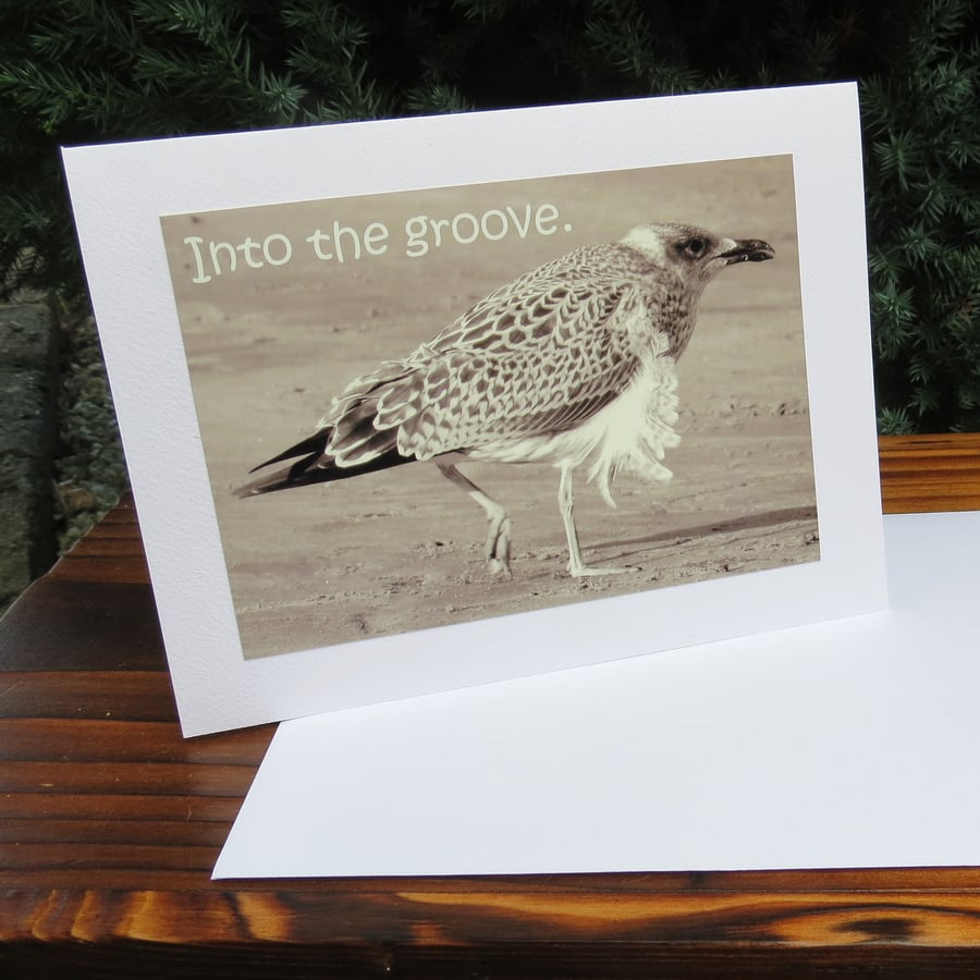 ''Into the groove.''  A blank card featuring an original photograph.
