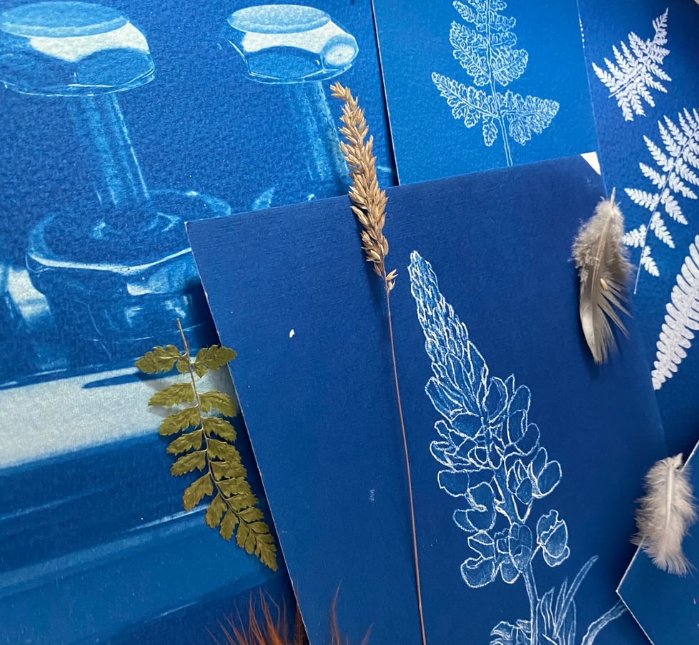 Cyanotype Art