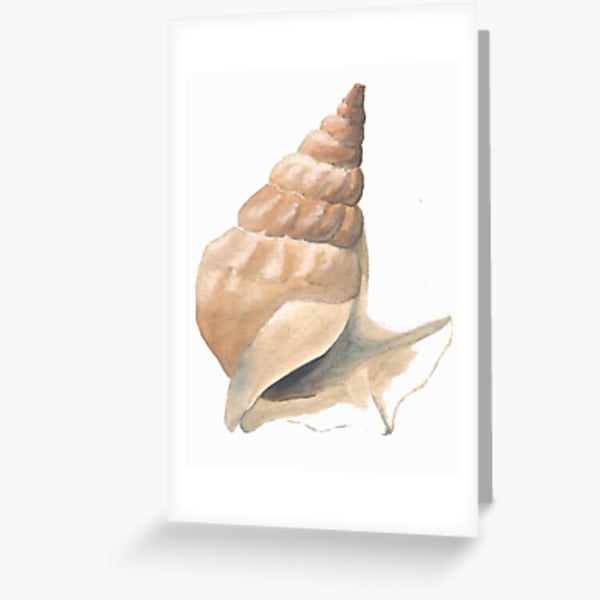 Seconds Sunday blank greetings card from a shell study in watercolour