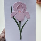 Pink Paper Iris - Flower Shop Moments, Blank Handmade Floral Card 