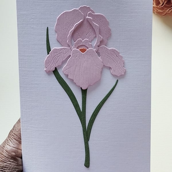 Pink Paper Iris - Flower Shop Moments, Blank Handmade Floral Card 