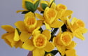 Bouquets