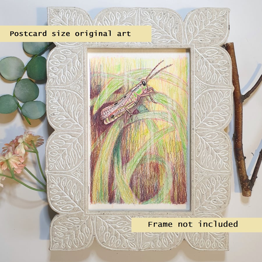 Grasshopper original artwork, letterbox art gift
