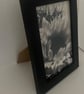 Sunflowers- Black and White - Image 3