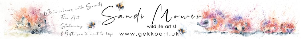 Gekko Art Watercolours