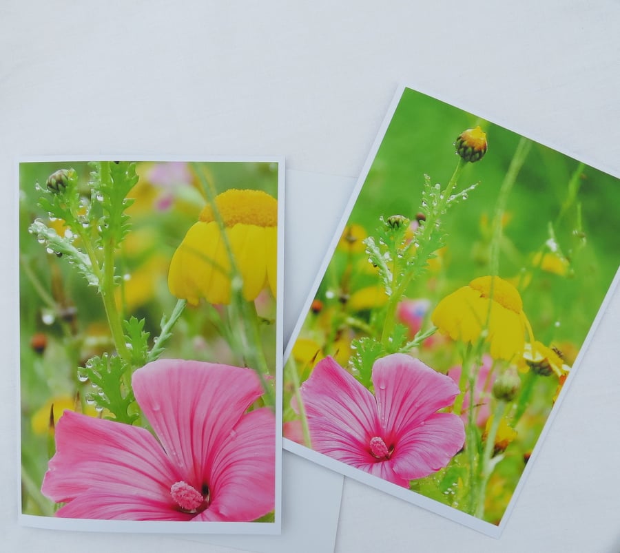 Set of Cards. Set of two cards, each featuring an original photograph. Notelets