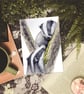 Scottish Badger Art Print - wildlife illustration from original watercolours