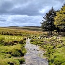 Moorland Stream