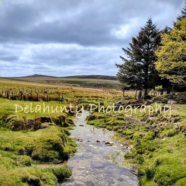 Moorland Stream