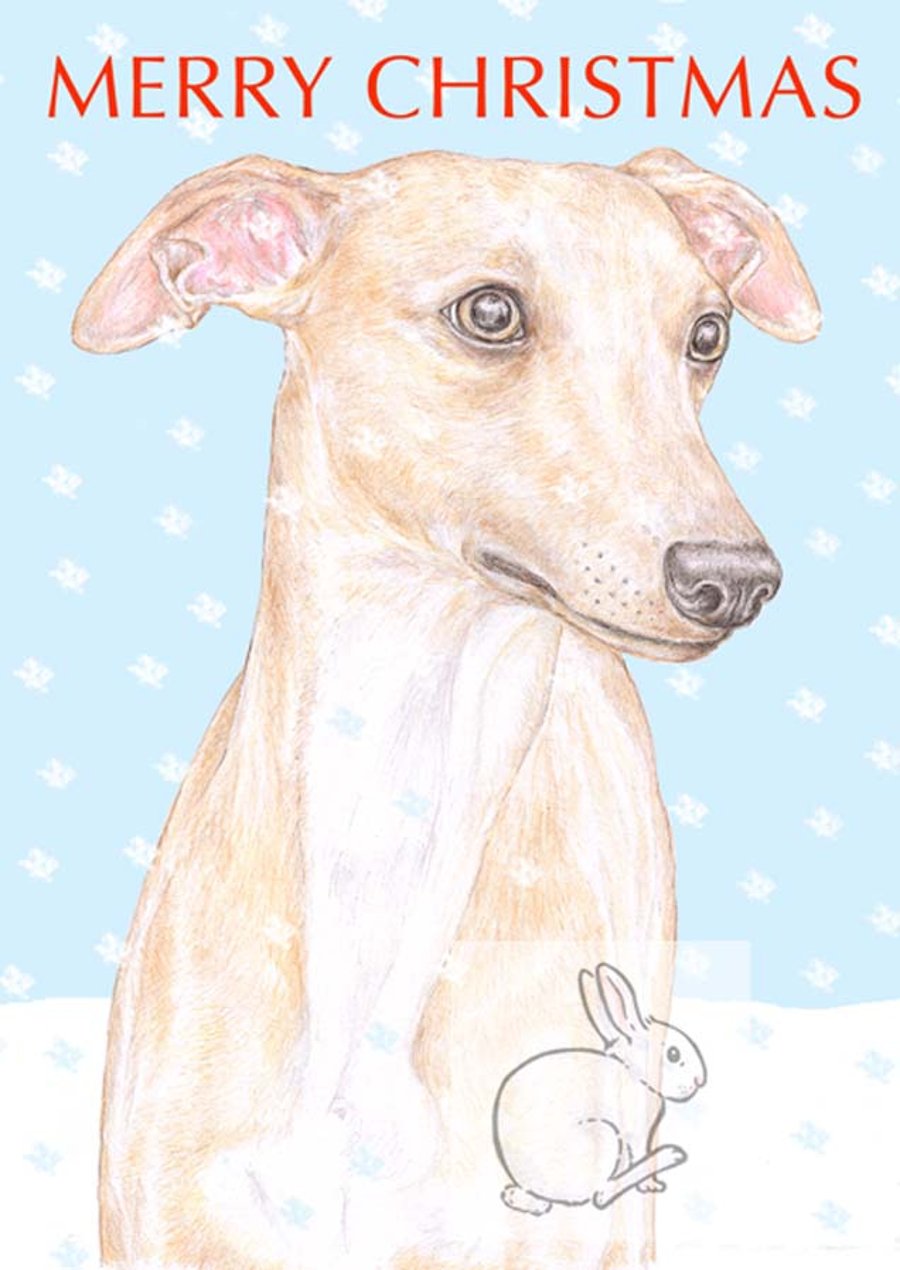Oscar the Whippet - Christmas Card