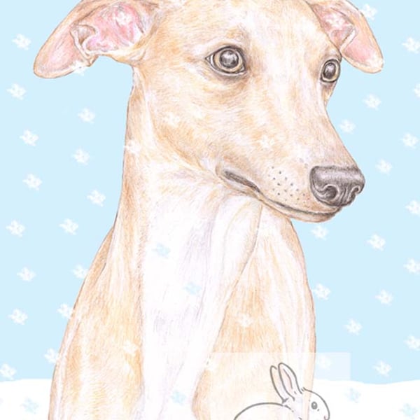 Oscar the Whippet - Christmas Card