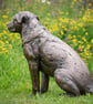 Sitting Crossbreed Dog Statue Large Bronze Resin Garden Sculpture - Image 3