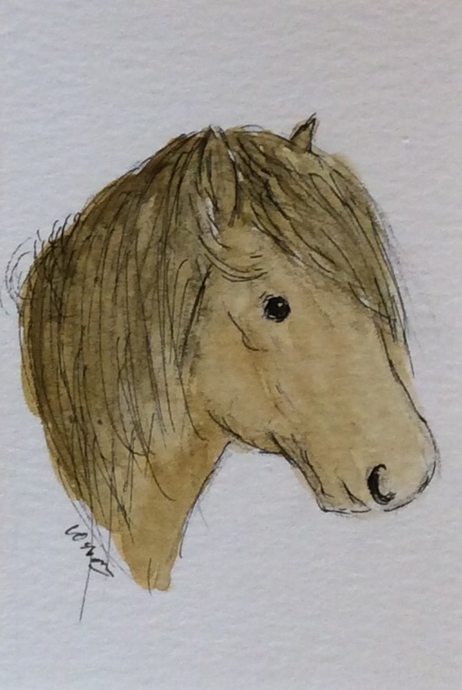 Shetland Pony - minature original watercolour, pen and ink - ACEO
