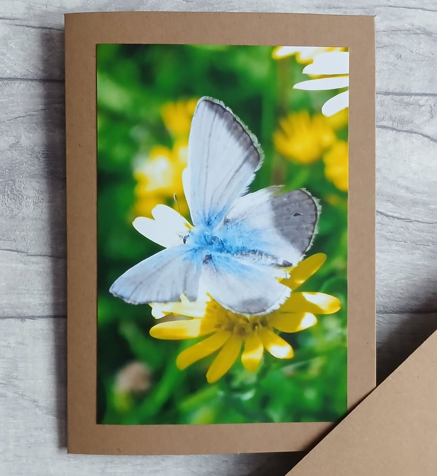 Blue Butterfly Photo Greetings Card