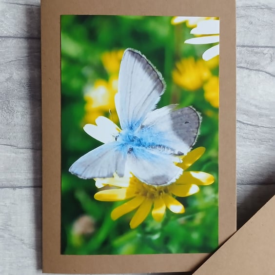 Blue Butterfly Photo Greetings Card