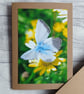 Blue Butterfly Photo Greetings Card - Image 1