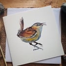 Ginny Wren greetings card