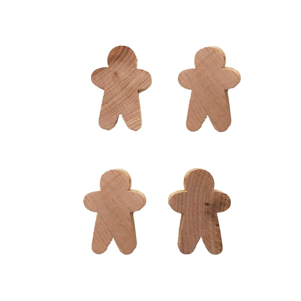 Extra Wooden Figures for Family House Craft Kit