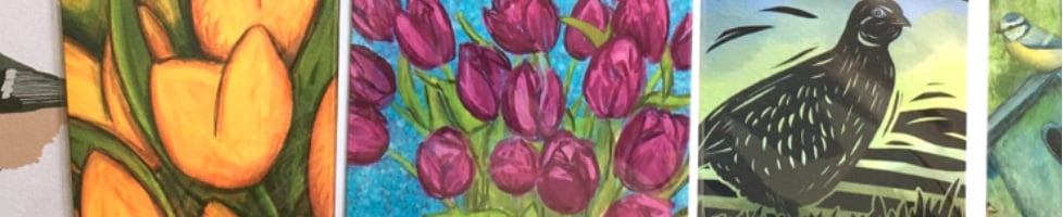 Juniper House Designs