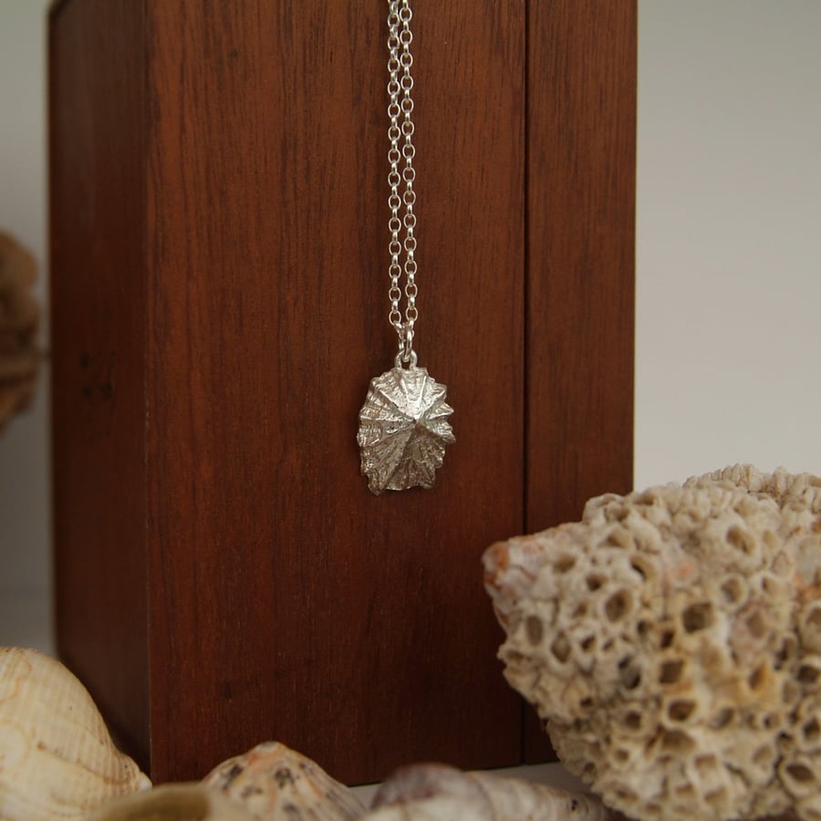 Silver Limpet Shell Pendant - Beach Necklace