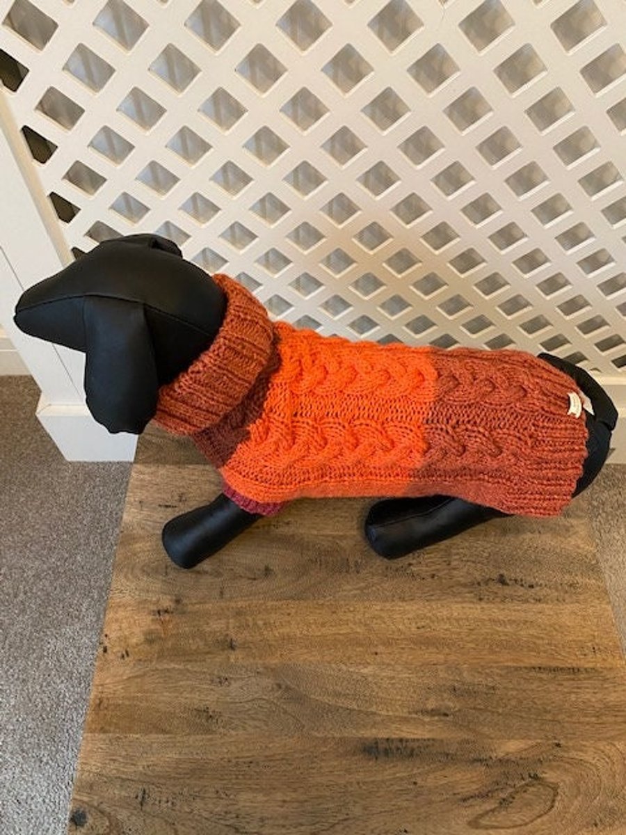 Dog Jumper - Ideal for a Miniature Dachshund or Small Dog