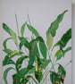 original peace Lily mixed media - Image 7