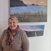Denise Harries Art