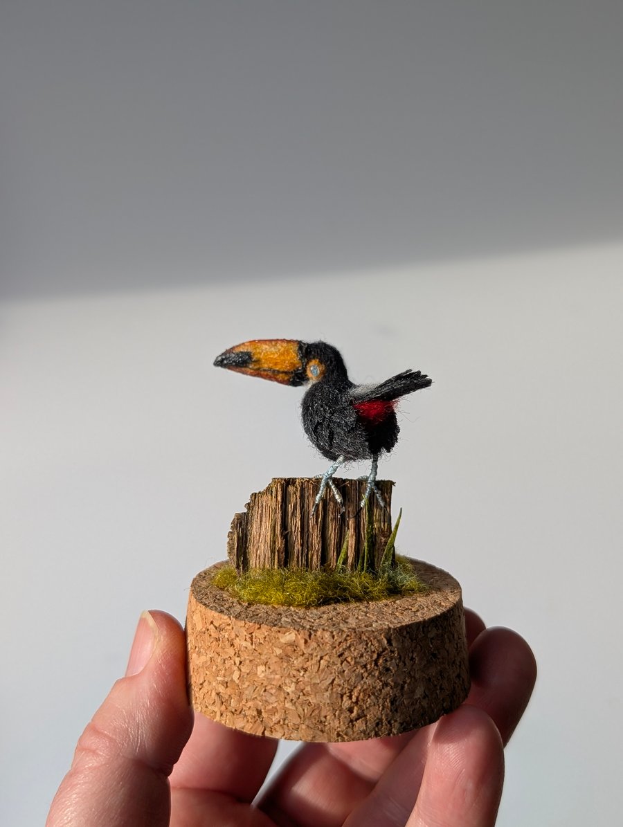 Tiny wool Toucan with cocked head. Valentine’s Day Bird in a Gift Box 
